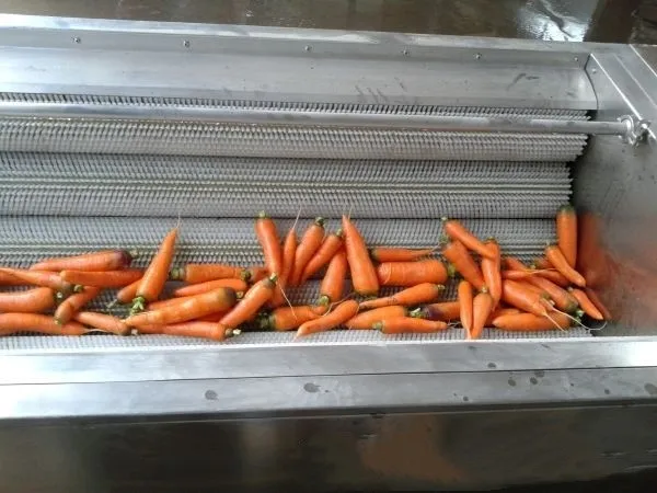 Carrot Washing Machine Roller Brush