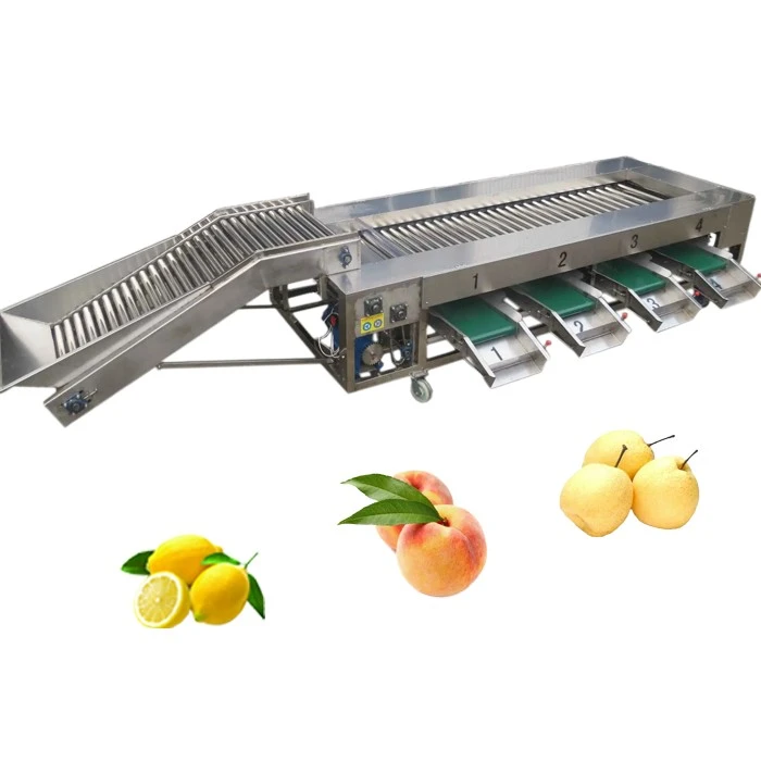 Fruit grading equipment 2