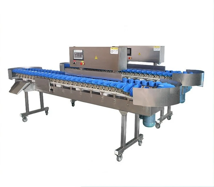 Fully Automatic Size And Weight Sorting Machine
