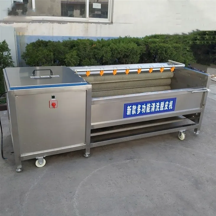 Ginger And Garlic Peeling And Cleaning Machine