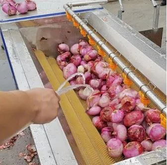 Ginger And Garlic Peeling And Cleaning Machine