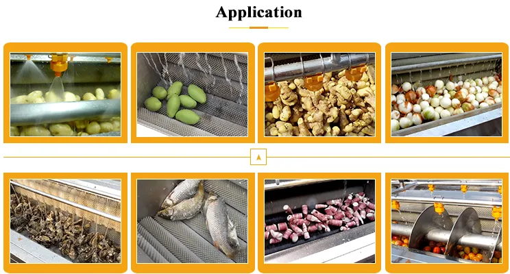 Potato Vegetable Ginger Roller Washer