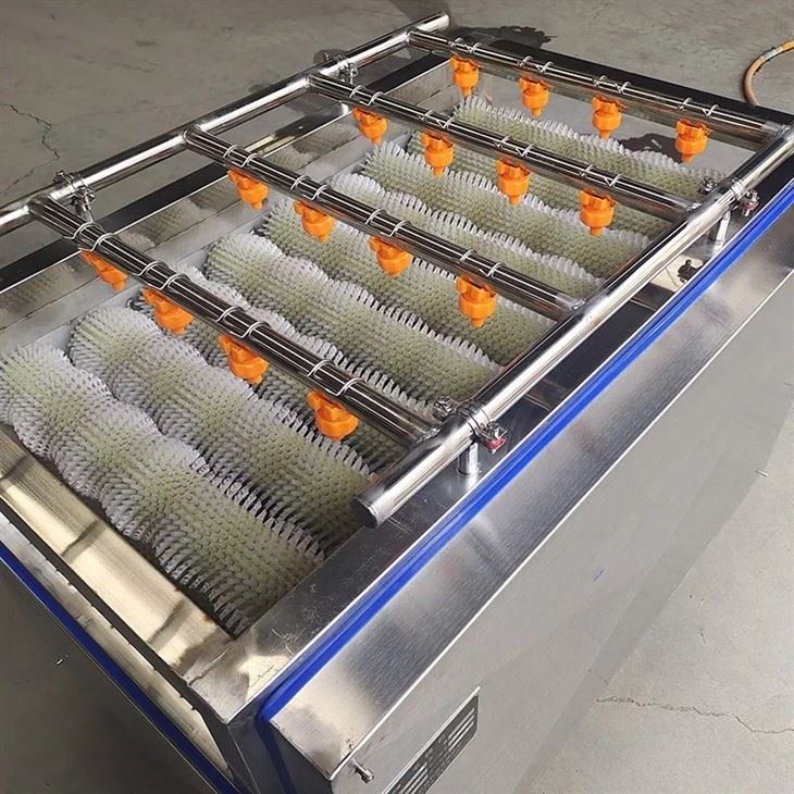 Sugar Cane Processing Cleaning Equipment Sugar Cane Processing Cleaning Equipment